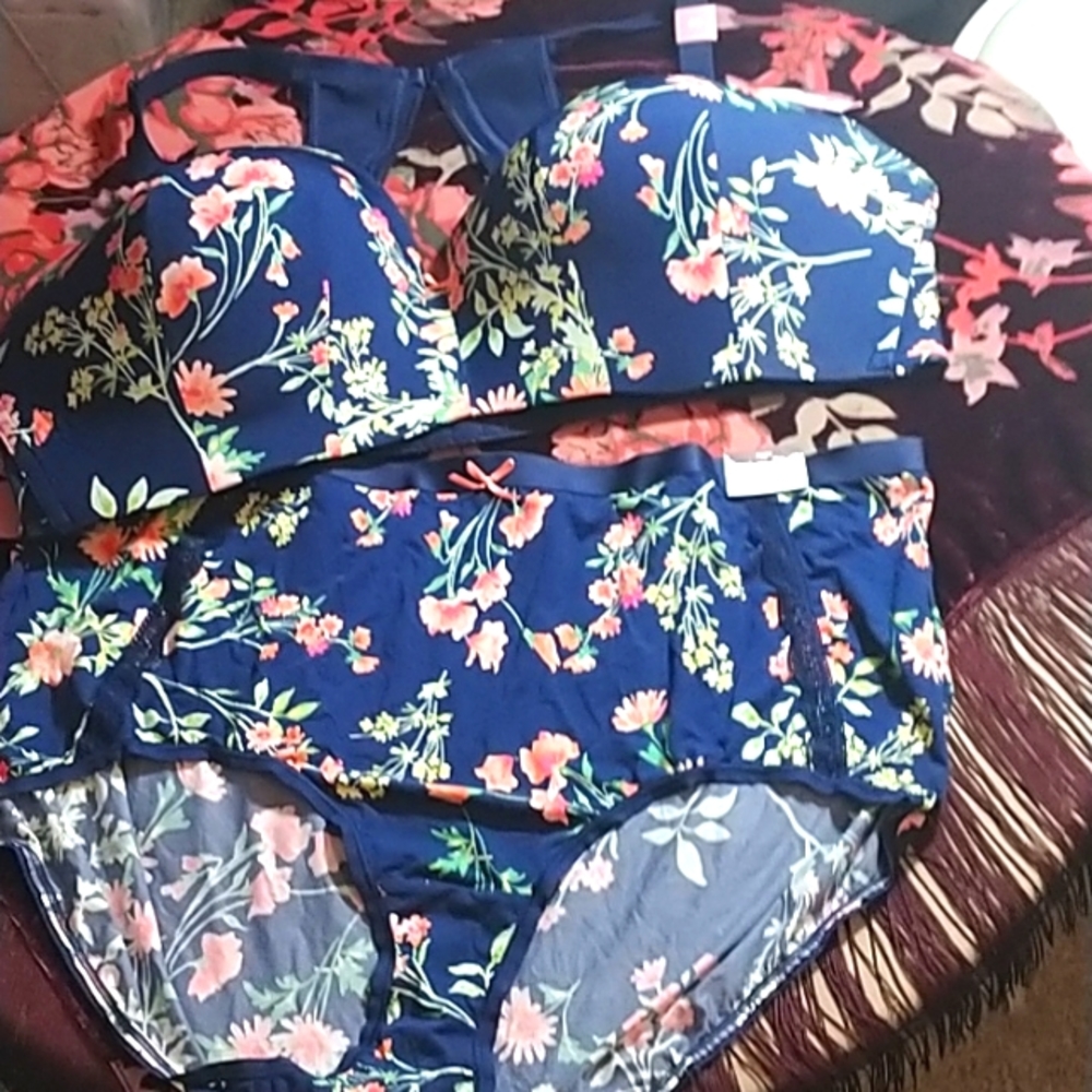 Plentiful Pretty Plus Panty/Bra Set NWT